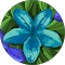 client-img
